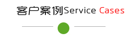 成功案例